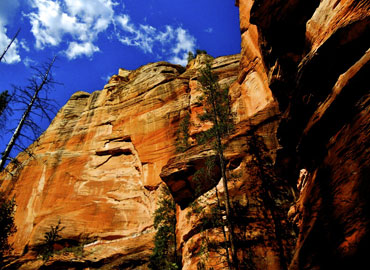 Sedona Mountain View